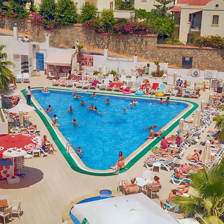 Hotel Club Shark