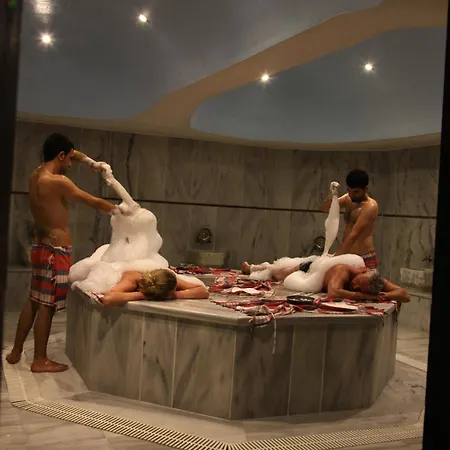 فندق كلوب شارك