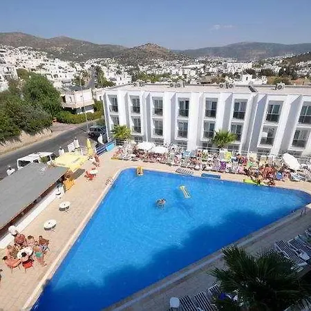 Club Shark Hotel