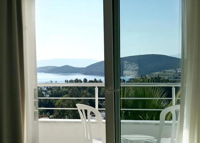 Club Shark