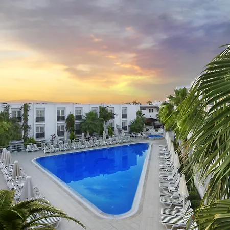 Club Shark 4* Gümbet