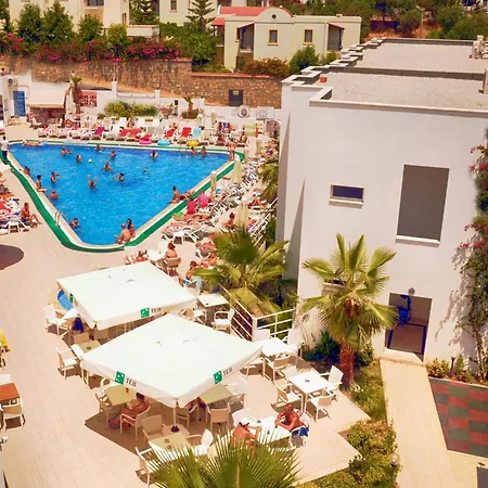 Club Shark 4*