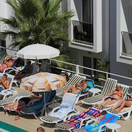 Hotel Club Shark