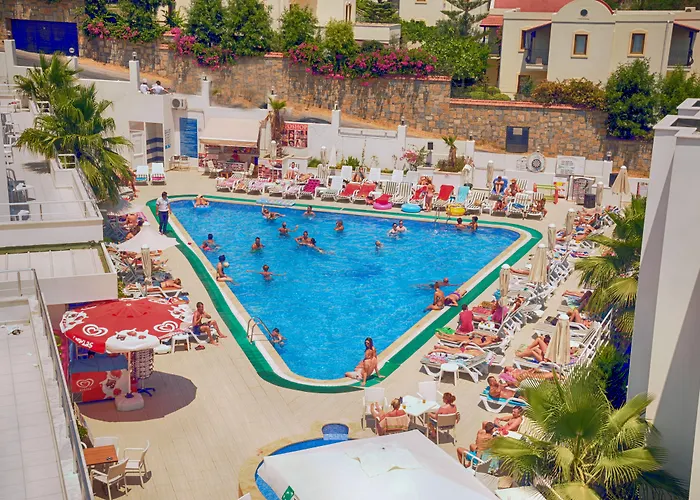 Hotel Club Shark