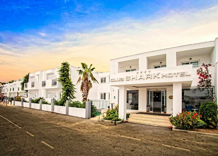 Hotel Club Shark