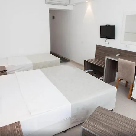 Club Shark Hotel 4*