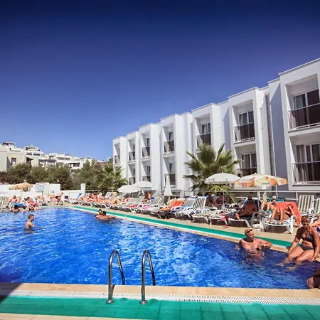 Club Shark 4*