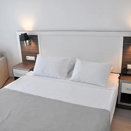 Club Shark Hotel 4*
